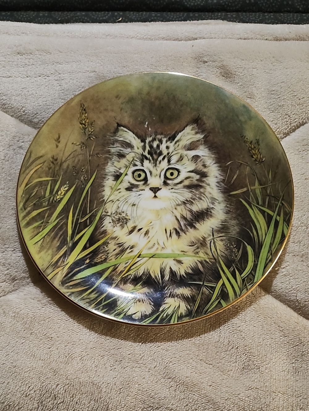 1985 Royal Worcester Green and Cream Kitten Decorative Plate